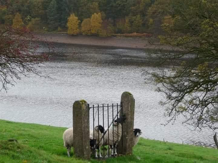Please open the gate!