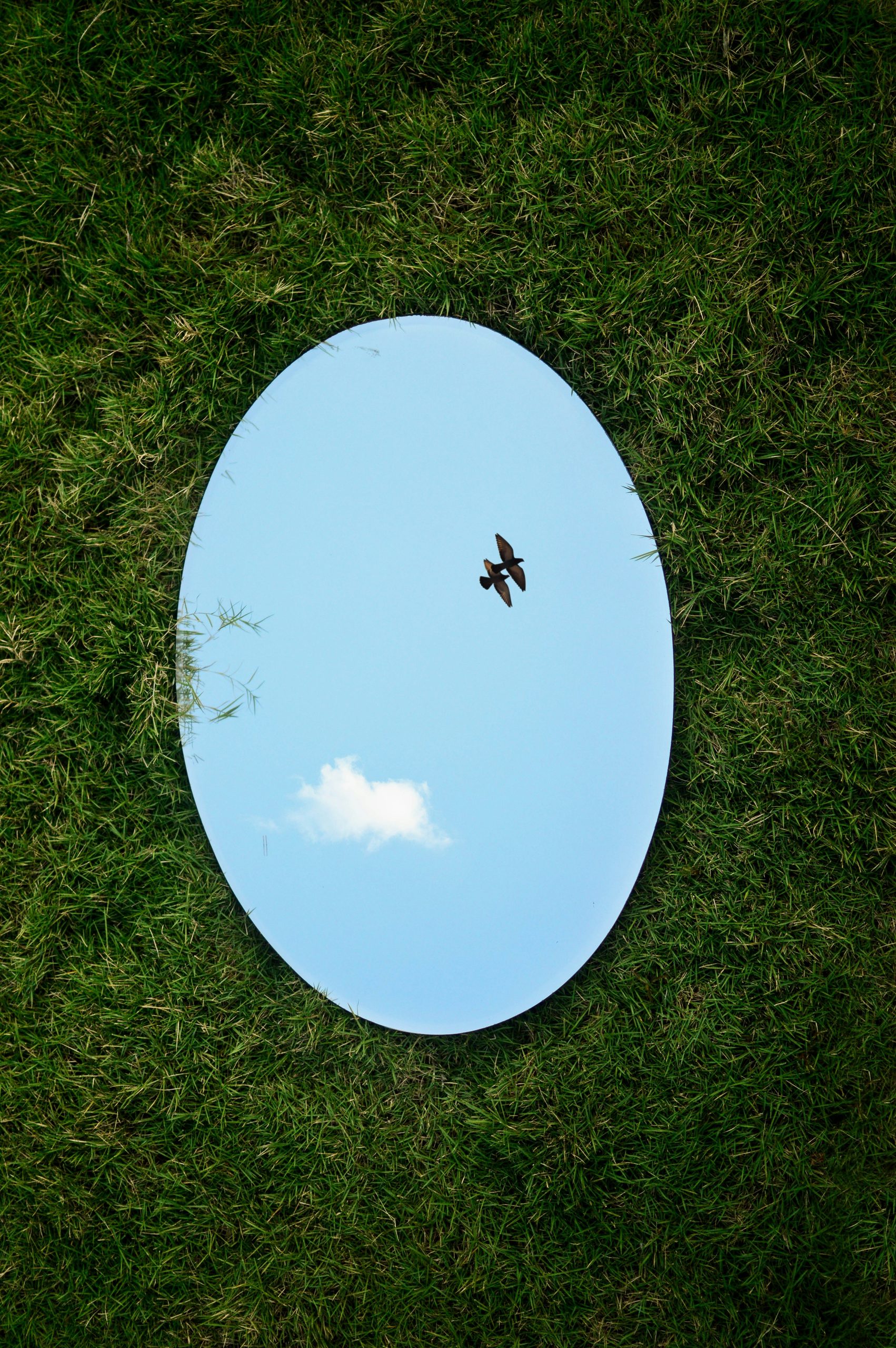 Come Utilizzare il Mirroring in Negoziazione