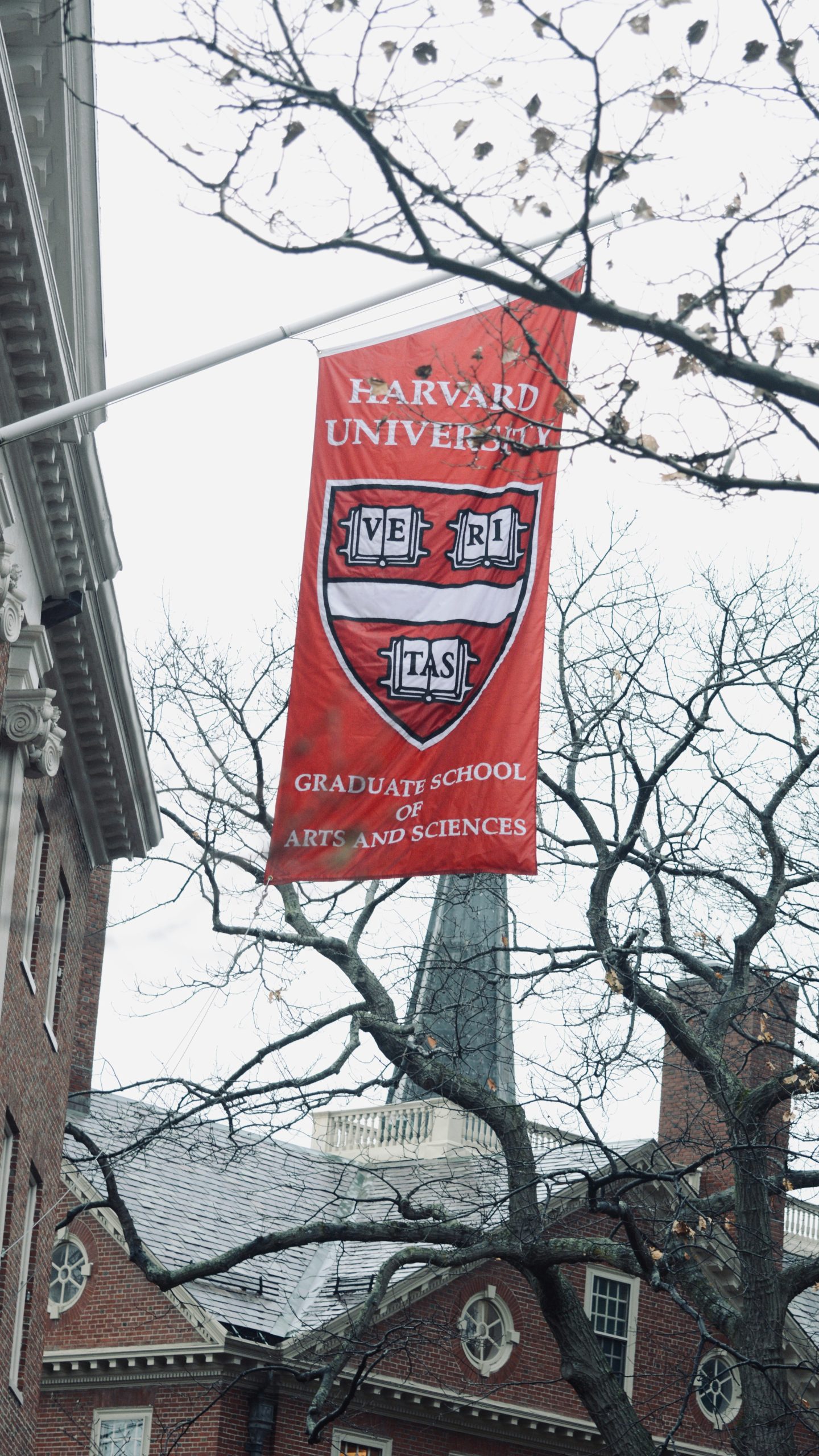 Scotwork vs. Harvard: Due Approcci alla Negoziazione e il Ruolo della BATNA