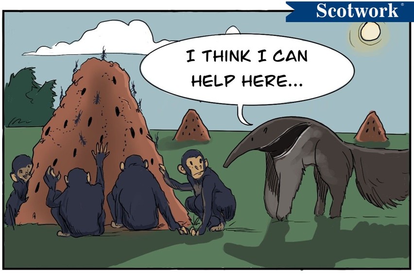 Do you really need an industry expert?